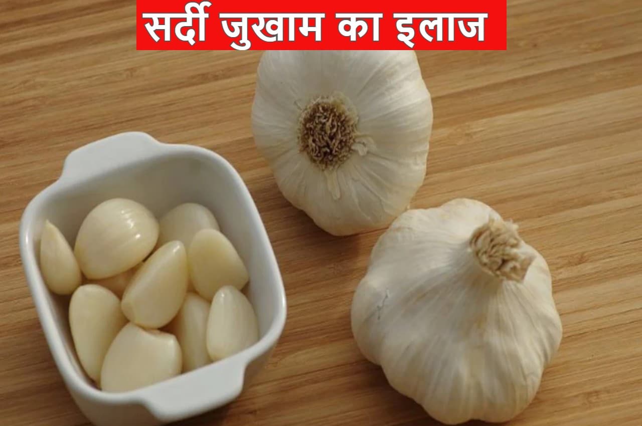 Garlic in Winter: सर्दी-जुखाम से हैं परेशान, इस तरह करिए लहसुन का इस्तेमाल, वजन भी कम होगा