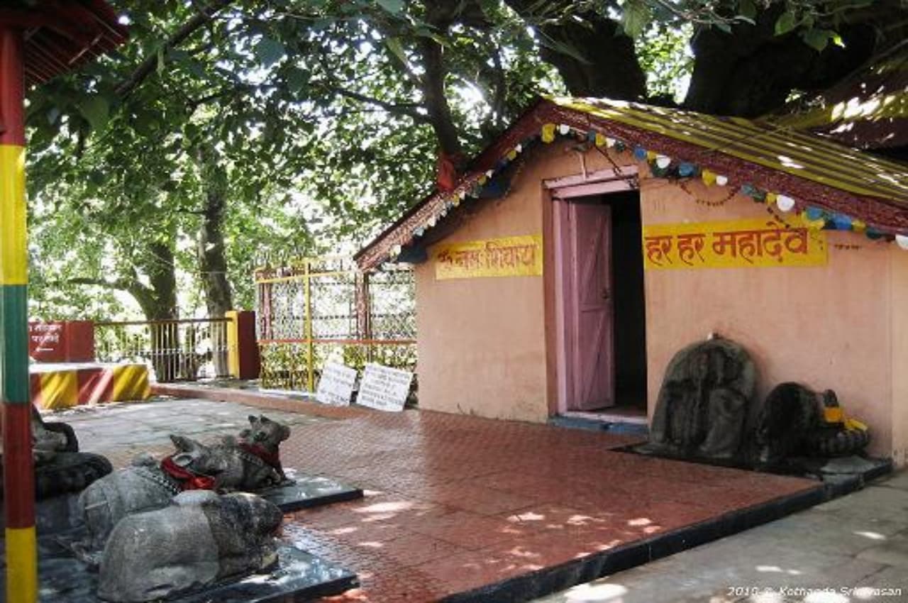 Joshimath Sinking: जोशीमठ के इस ज्योतिर्मठ में भी आई दरारें, लोगों का दावा- हजारों वर्ष पुराने पेड़ से गिर रहे हैं पत्ते