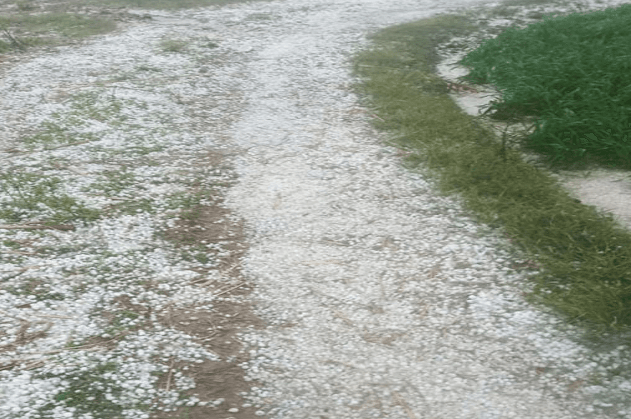 Weather Update: राजस्थान में पड़ रही हाड़ कंपा देने वाली ठंड, इस शहर में तापमान रहा माइनस में, जानिए...