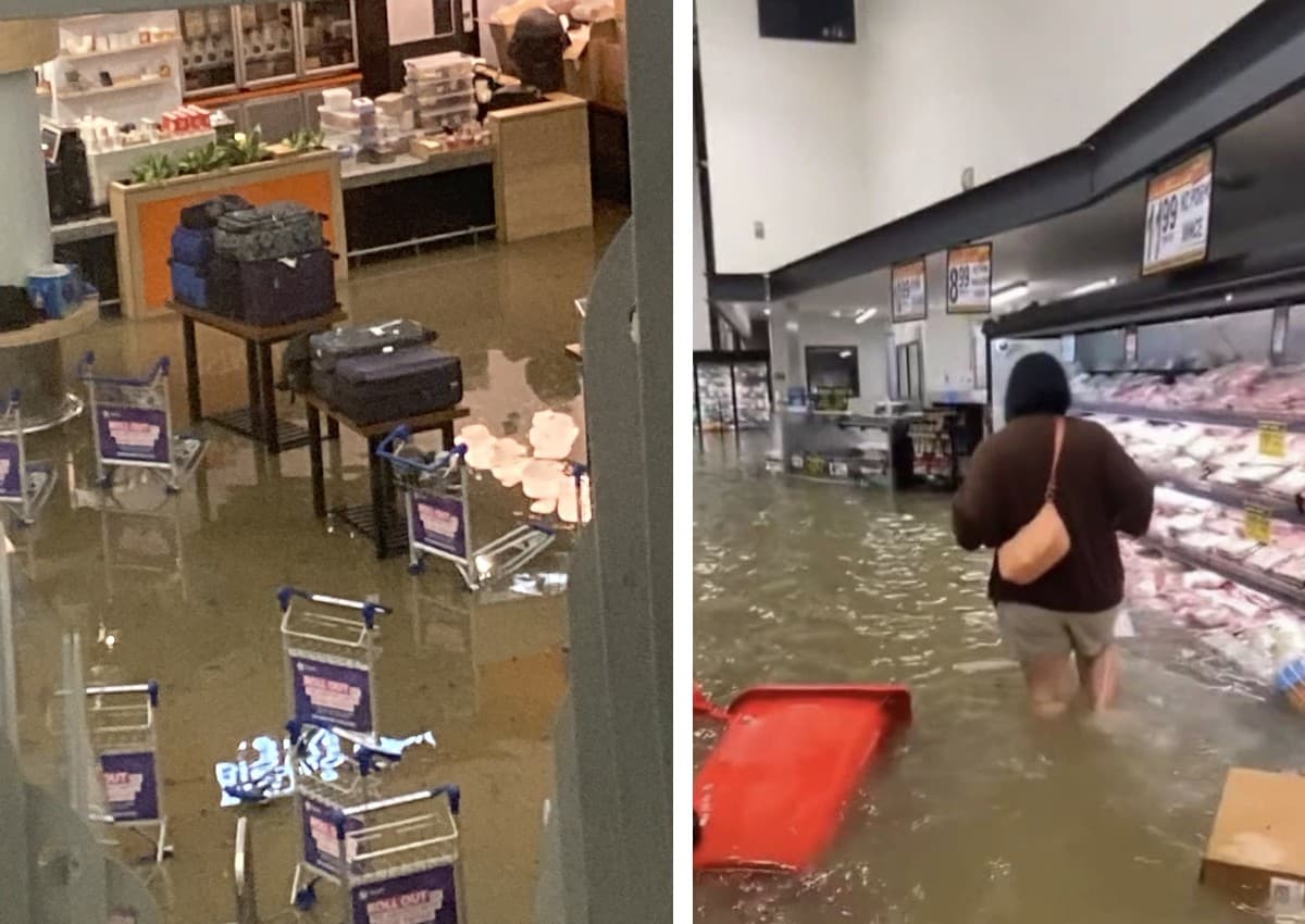 New Zealand Floods: भारी बारिश के बाद ऑकलैंड में बिगड़े हालात, एयरपोर्ट की 'भयावह' तस्वीरें वायरल