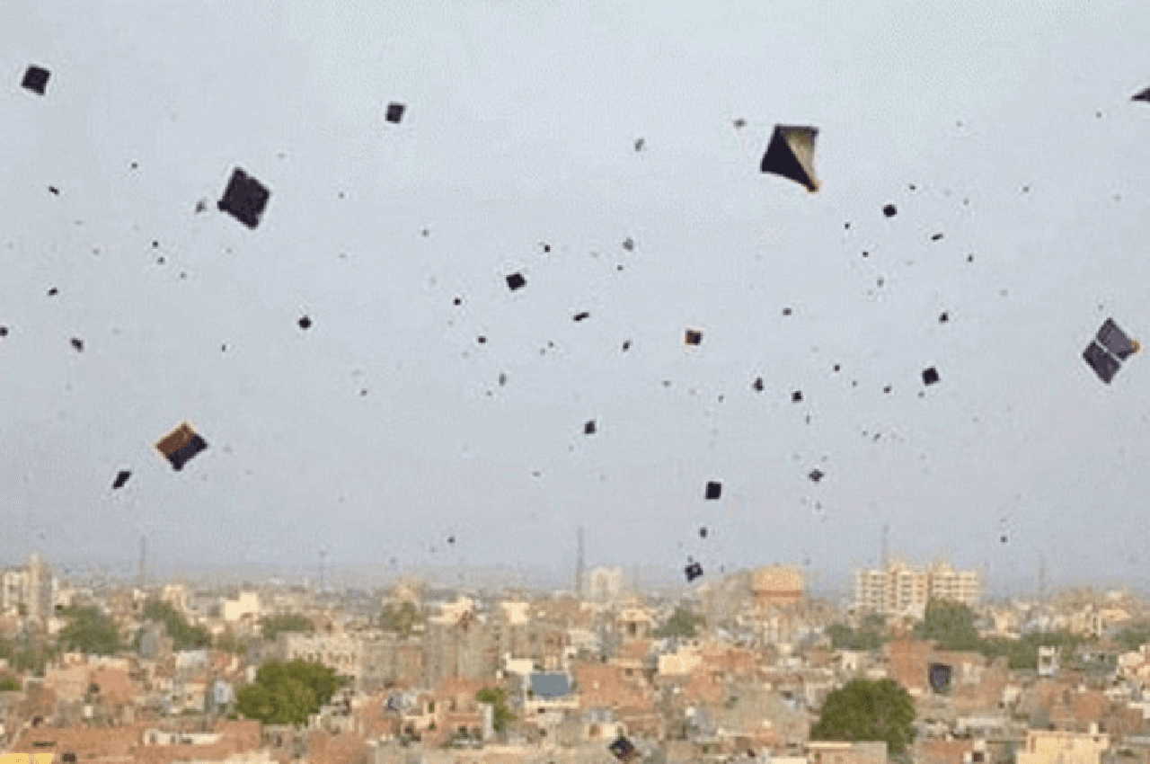 Patangbazi Ban In Jaipur Patangbazi Ban In Jaipur