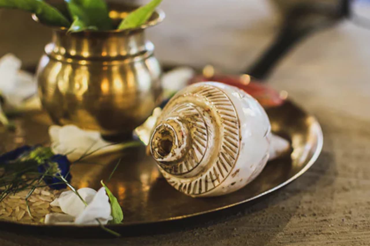 Jyotish Tips: इस एक चीज के घर आते ही जाग जाएगी सोई किस्मत, ऐसे करें उपाय