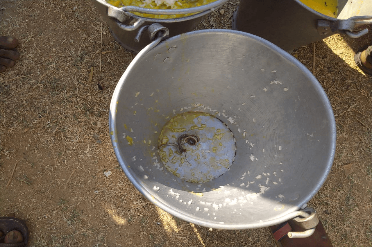 West Bengal News : मिड-डे मील की थाली में परोस दिया सांप , खाकर इतने बच्चे हुए बीमार