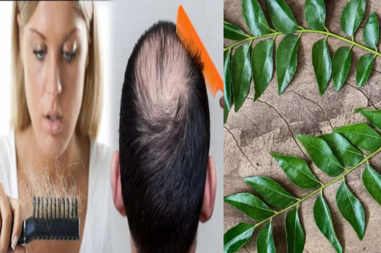 Hair Care TIPS: टूटते-झड़ते बालों से निजात दिलाएगा ये नुस्खा...बाल हो जाएंगे मजबूत, काले और घने, जानें