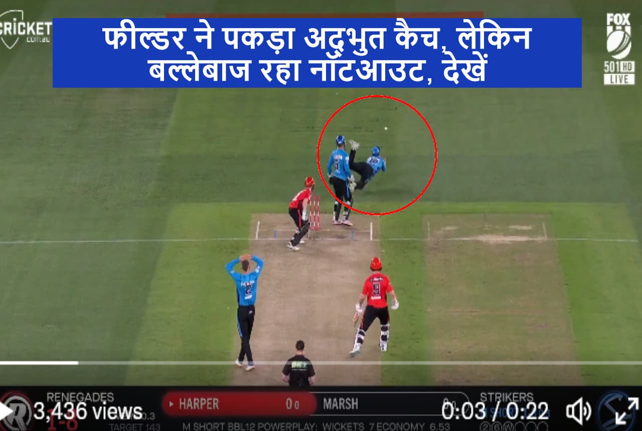 BBL 2023: तूफानी डाइव...चीते जैसी फुर्ती, परफेक्ट कैच...फिर भी आउट नहीं हुआ बल्लेबाज, देखें
