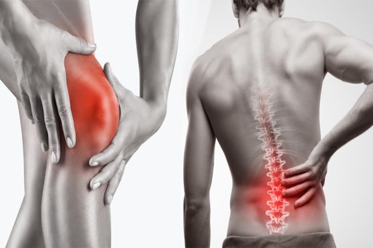 Bone health: ये 3 चीजें हड्डियों को बनाती हैं मजबूत...जोड़ों का दर्द होगा दूर, बुढ़ापे में भी नहीं होगी समस्या, जानें