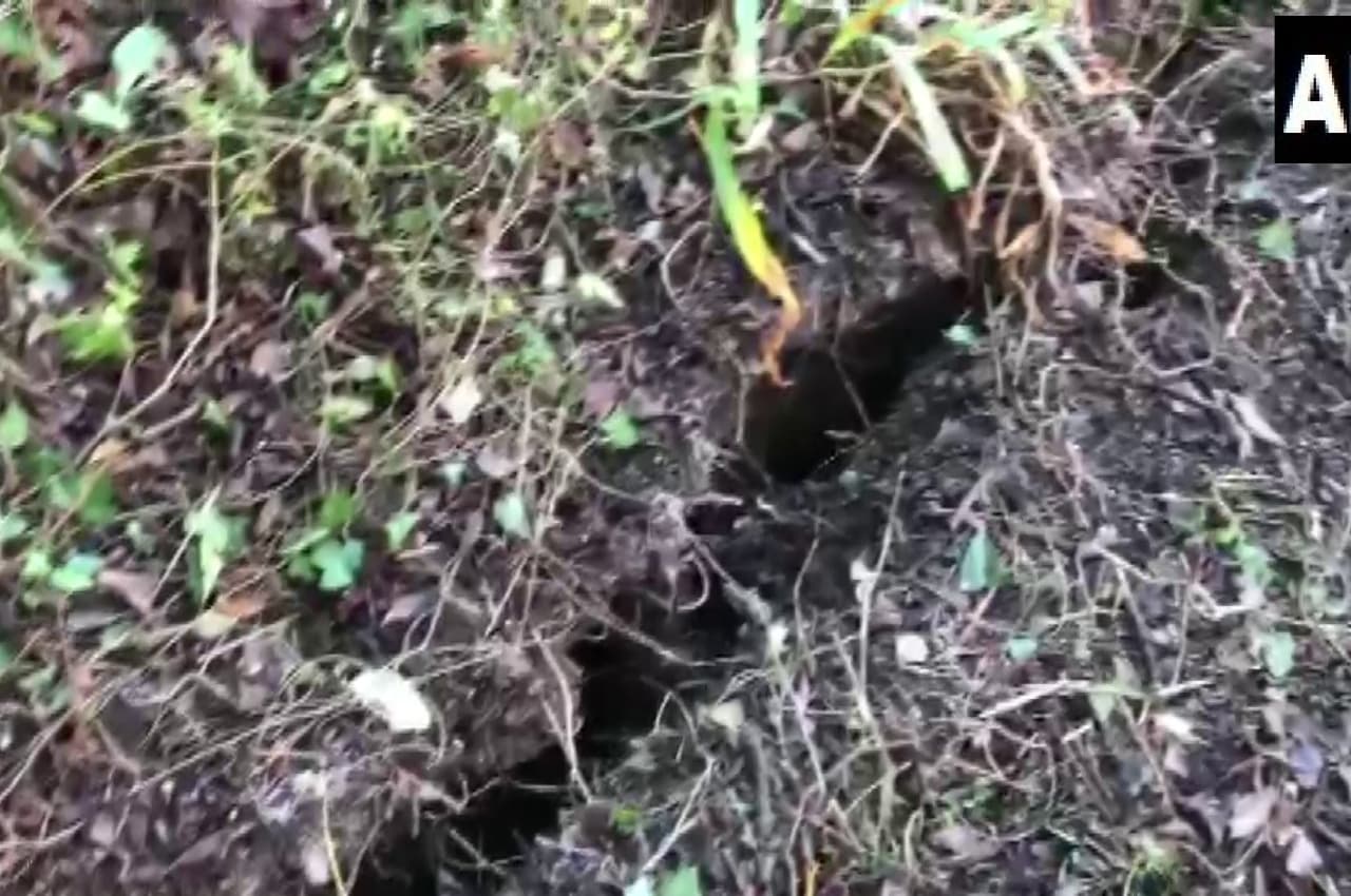Joshimath Sinking: जोशीमठ-औली को जोड़ने वाली रोपवे के प्लेटफॉर्म में दरार, क्लाइमेट साइंटिस्ट बोले-स्थिति ठीक नहीं