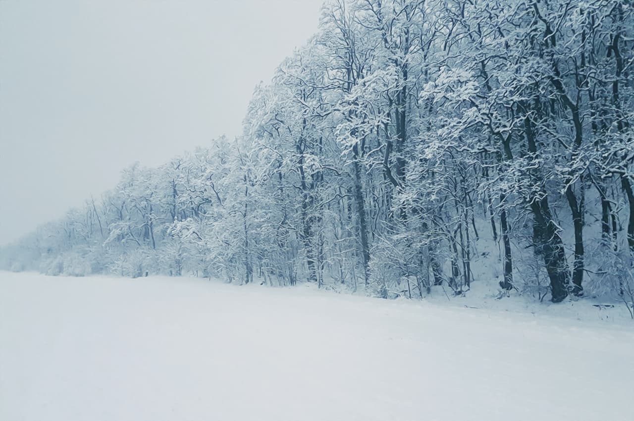 Weather Update: पहाड़ों पर बर्फीला तूफान! पश्चिमी UP में बारिश, बादलों की गर्जना सुन घरों में दुबके लोग