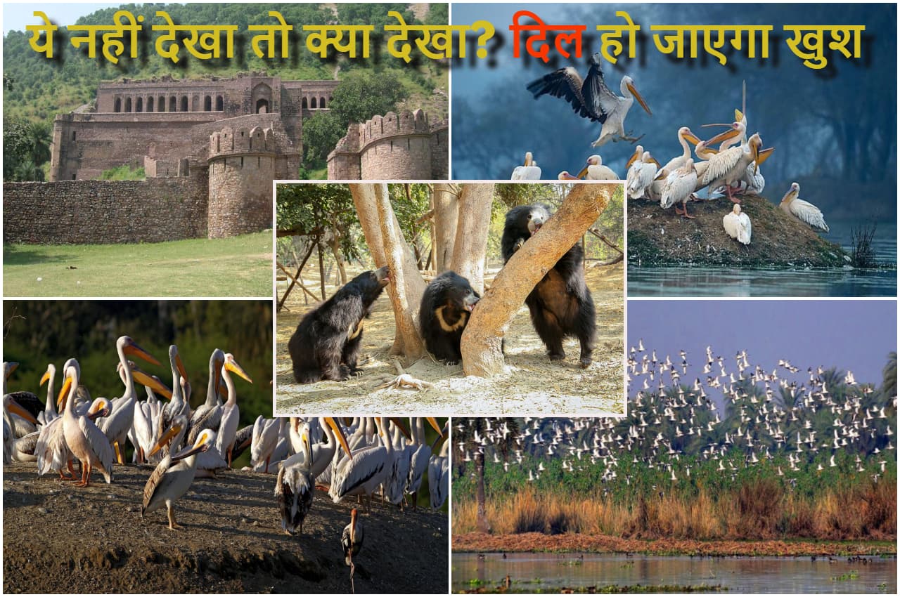 Weekend Plan, 26-29 January: दिल्ली से महज 200 KM दूर ये शानदार डेस्टिनेशन, वीकेंड पर घूमें, फिरें और...