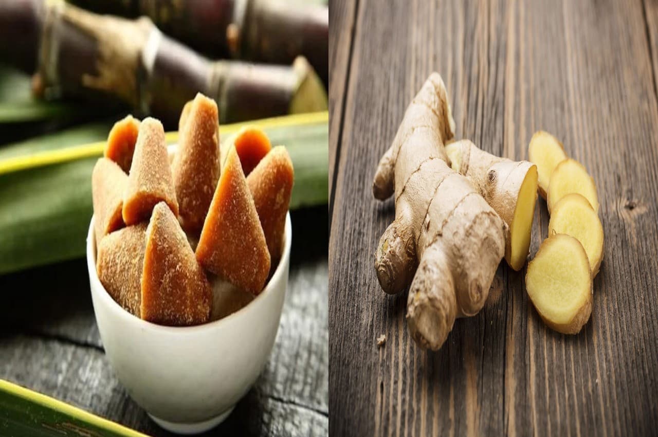 Winter Food: सर्दियों में जरूर खाना चाहिए ये चार चीजें, शरीर रहेगा गर्म, नहीं लगेगी ठंड