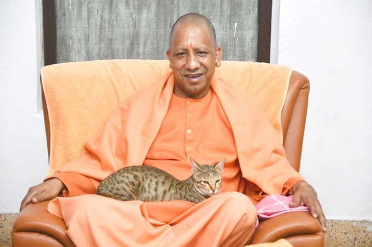 UP News: उत्तर प्रदेश के CM योगी आदित्यनाथ बोले- 'सनातन' हमारा राष्ट्रीय धर्म; कांग्रेस नेता ने कहा- मतलब...