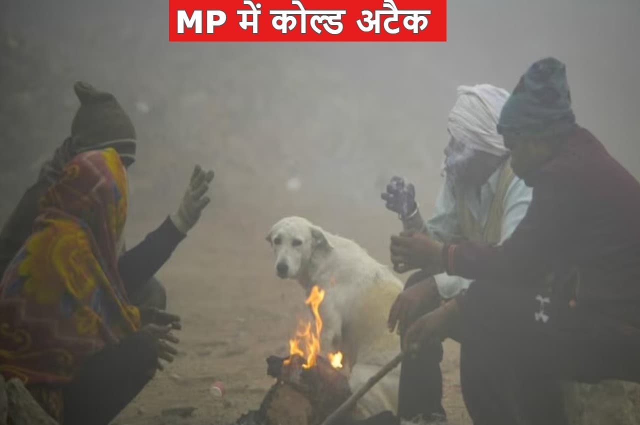 MP Weather: मध्य प्रदेश में कोल्ड अटैक, बर्फीली हवाओं से पड़ रही कड़ाके की ठंड, यहां तापमान 2 डिग्री