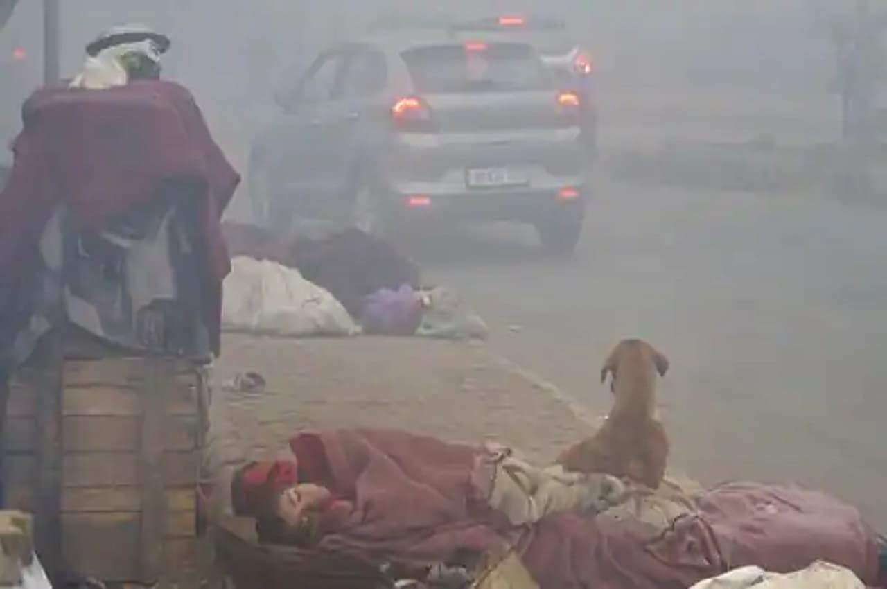Weather Update: कोहरे, शीत लहर से नहीं मिल रही राहत! IMD ने अब दिल्ली, यूपी सहित इन राज्यों में जारी किया बारिश का अलर्ट