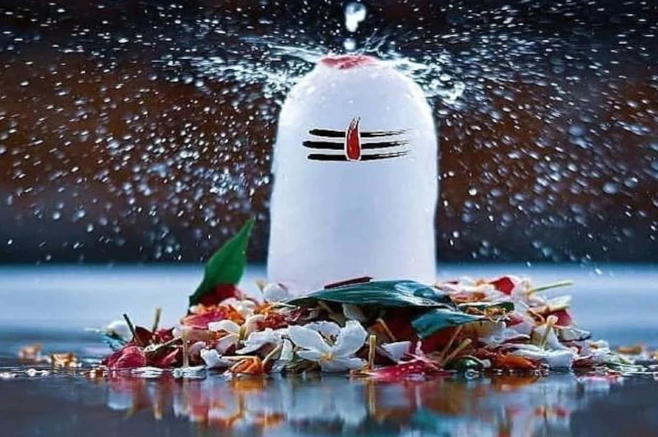 Mahashivratri: कालसर्प दोष दूर करने के लिए शिवरात्रि पर करें ये उपाय, फटाक से होगा लाभ