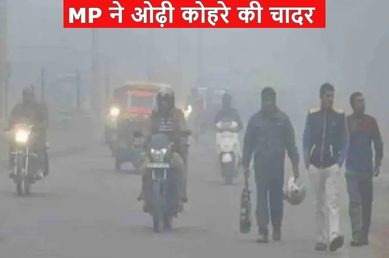MP Weather: मकर संक्रांति पर मध्य प्रदेश ने ओढ़ी कोहरे की चादर, 2 दिन बाद फिर पड़ेगी कड़ाके की ठंड