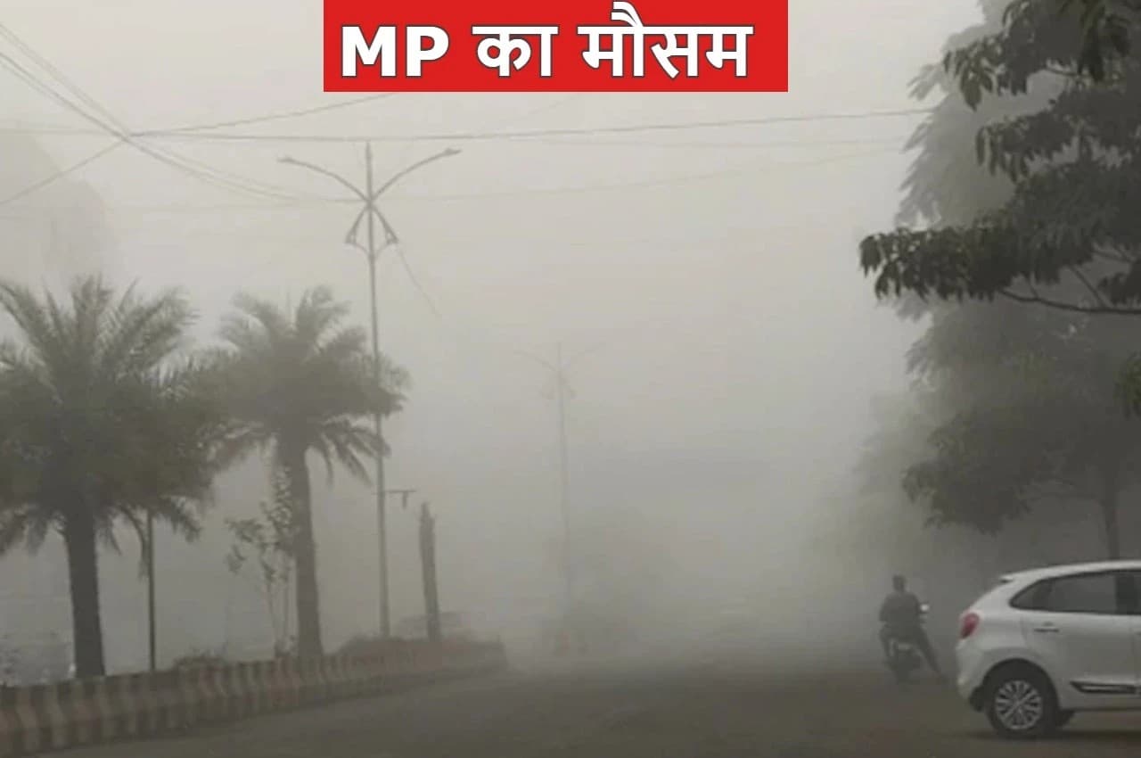 MP Weather: मध्य प्रदेश में फिर करवट लेगा मौसम, ठंड से राहत, इन जिलों में बारिश की संभावना