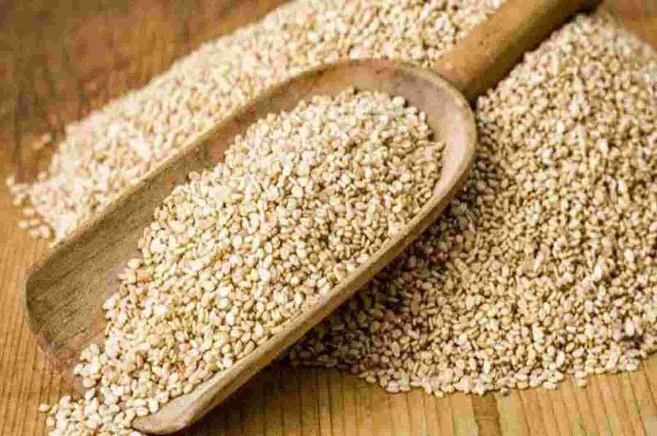 Winter Foods: बहुत फायदेमंद हैं तिल के बीज, इन बीमारियों से निपटने में कारगर