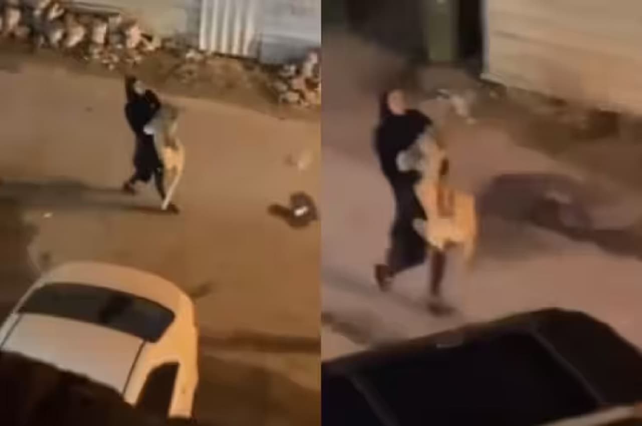 Viral Video: ये क्या...महिला शेर को गोद में उठाकर भागती दिखी, कैमरे में कैद हुई हैरान कर देने वाली फुटेज