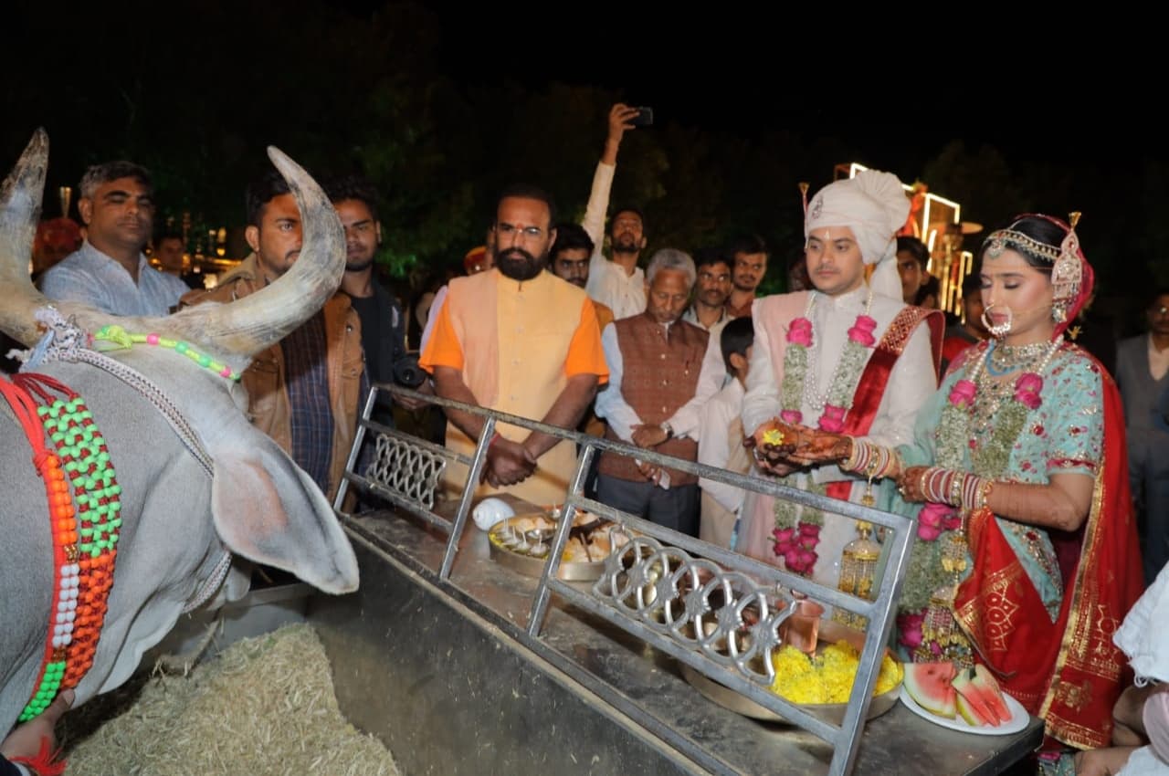 राजस्थान में अनोखी शादी: गोशाला में नवयुगल ने लिए सात फेरे 