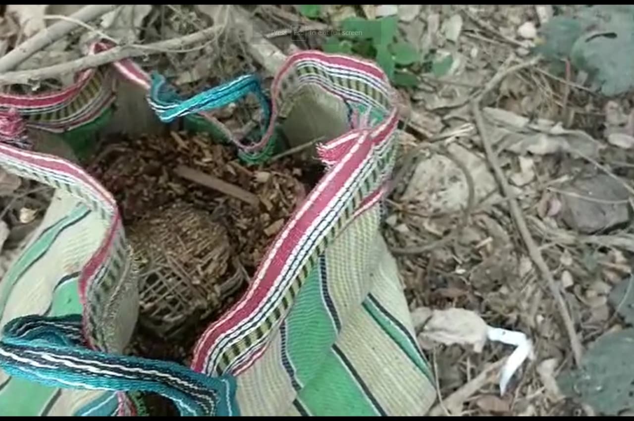 पश्चिम बंगाल में एक स्कूल के बैक साइड में मिले एक-दो नहीं 40 बम, इलाके में दहशत