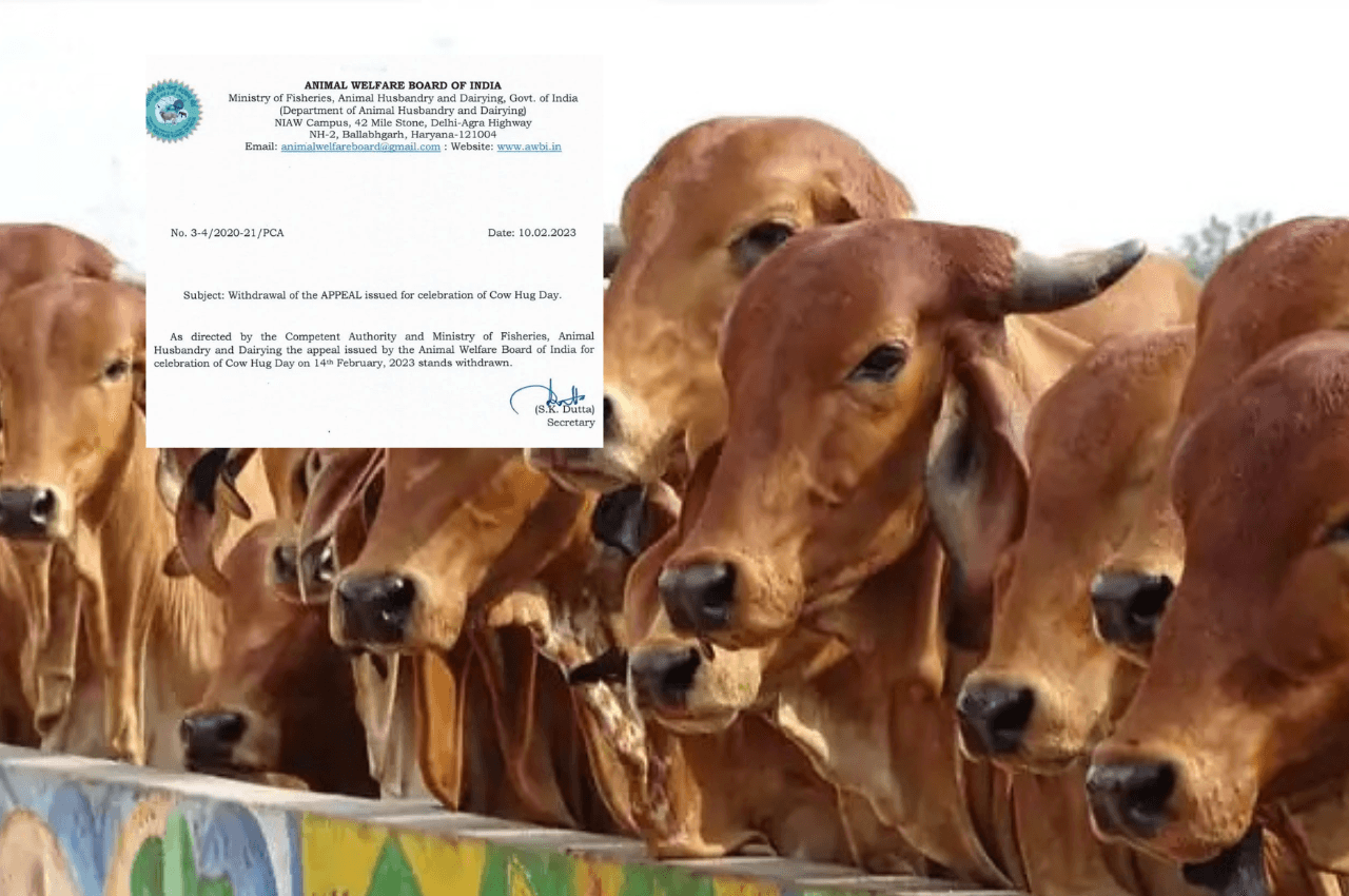 Cow Hug Day: एनिमल वेलफेयर बोर्ड ने 'काउ हग डे' मनाने वाला फरमान वापस लिया, विपक्ष ने उड़ाया था मजाक, देखें मीम्स