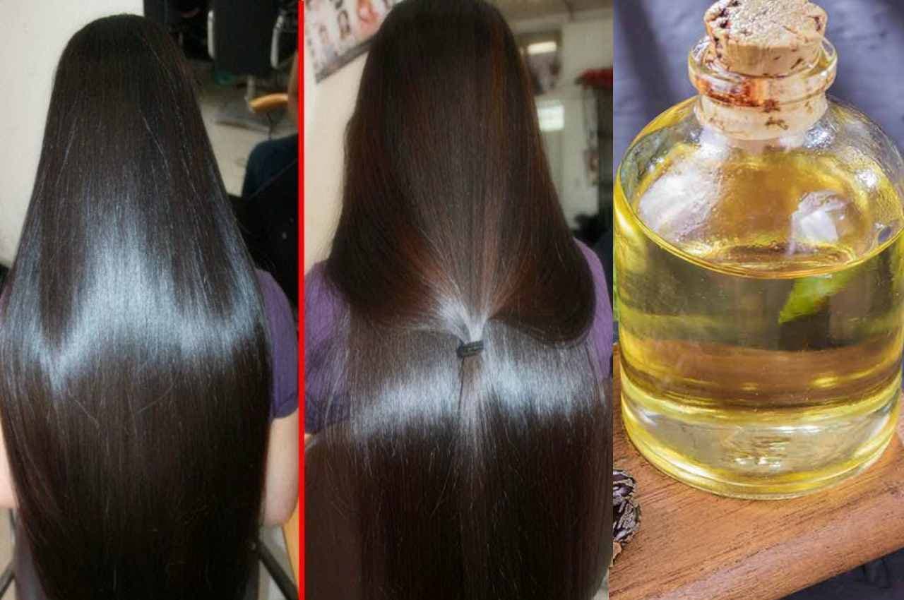 Oil For shiny Hair: ये तेल रातों-रात बढ़ा देगा बालों की चमक...जड़ से करेगा मजबूत, जानें 4 जबरदस्त फायदे