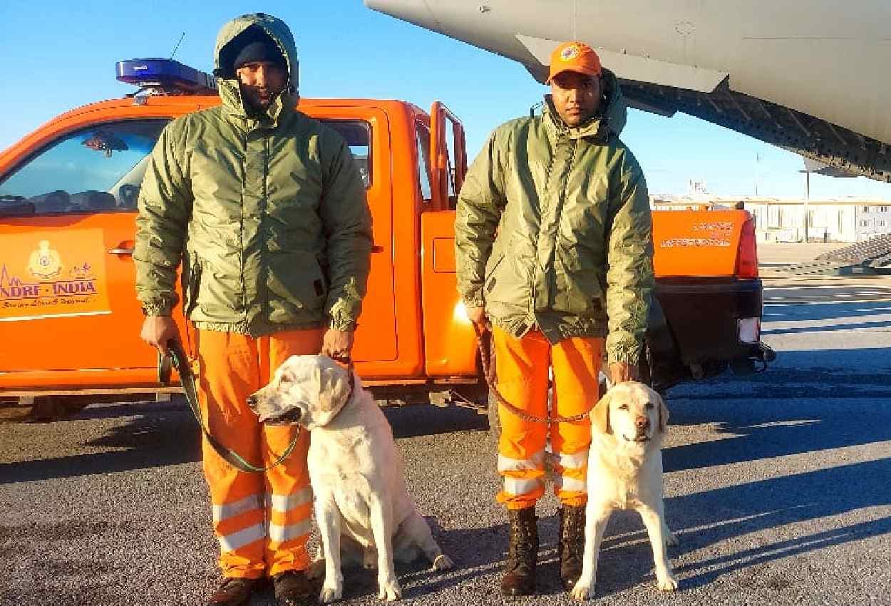 Turkey Bhookamp News: तुर्की में लोगों को बचा रही है जूली, रोमियो, हनी और रेम्बो की भारतीय टीम, जानें कैसे कर रहा है मदद