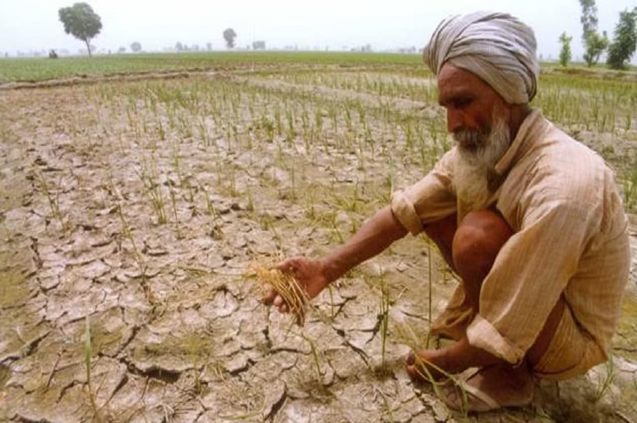 Farmers Alert! साइबर फ्रॉड में किसान को आठ लाख रुपये से अधिक का नुकसान, जानिए- कैसे हुई ये घटना और बचने का तरीका