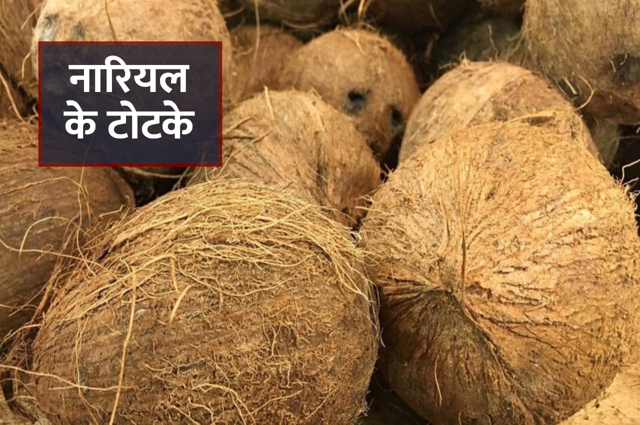 Tone Totke: होली की रात करें ये उपाय, हर चाहत होगी पूरी