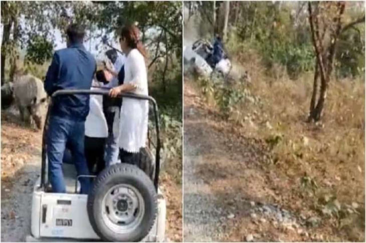 Viral Video: जंगल सफारी पर निकले पर्यटकों पर rhino ने कर दिया हमला, नीचे जा गिरी Jeep