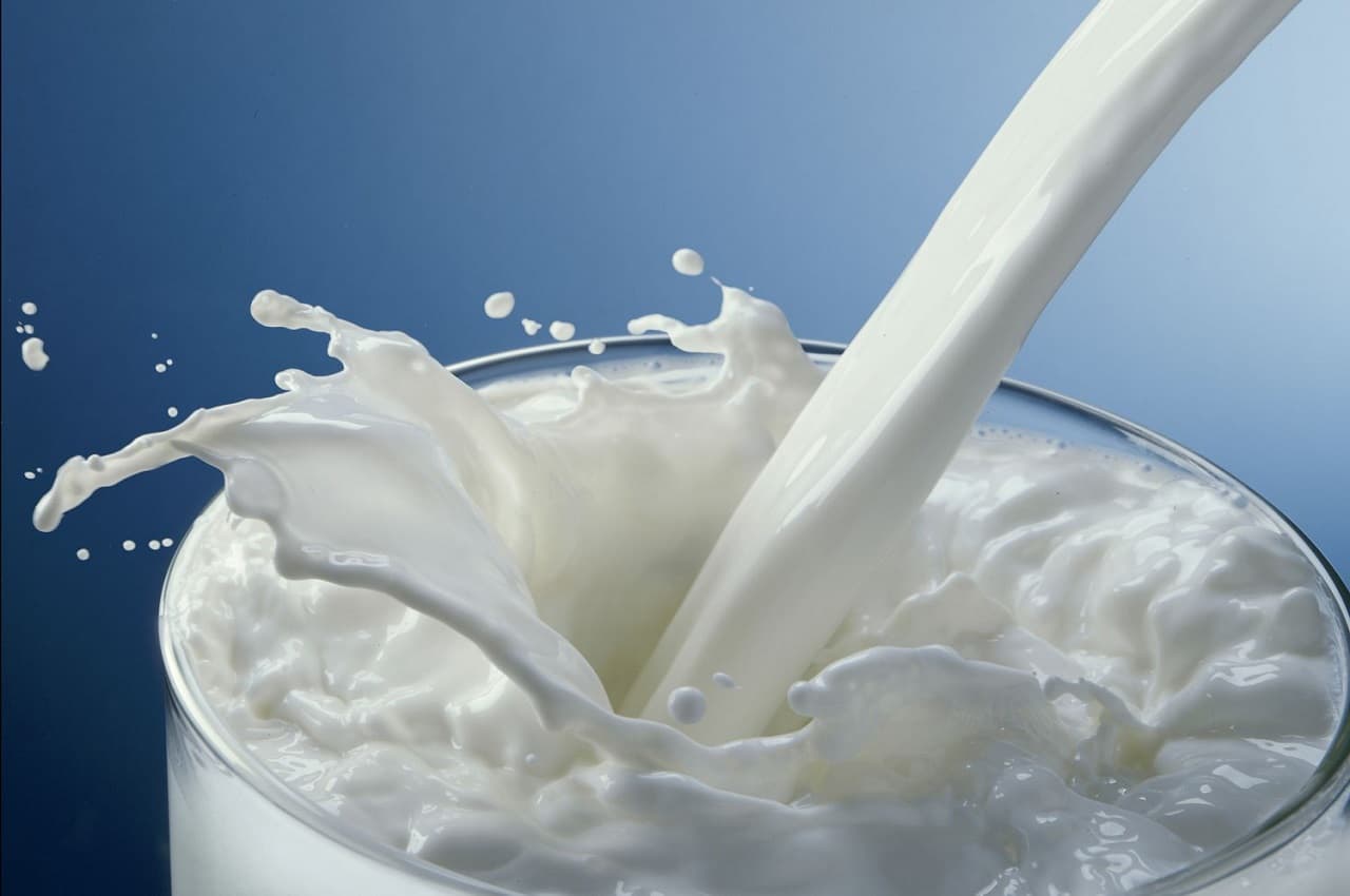 Milk Price Increased: इस बड़े शहर में हुई भैंस के दूध की कीमत में 5 रुपये प्रति लीटर की बढ़ोतरी!