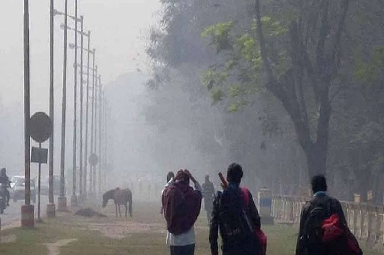MP Weather: मध्य प्रदेश में सर्दी का आखिरी दौर, चुभने लगी धूप, ऐसा रहेगा मौसम