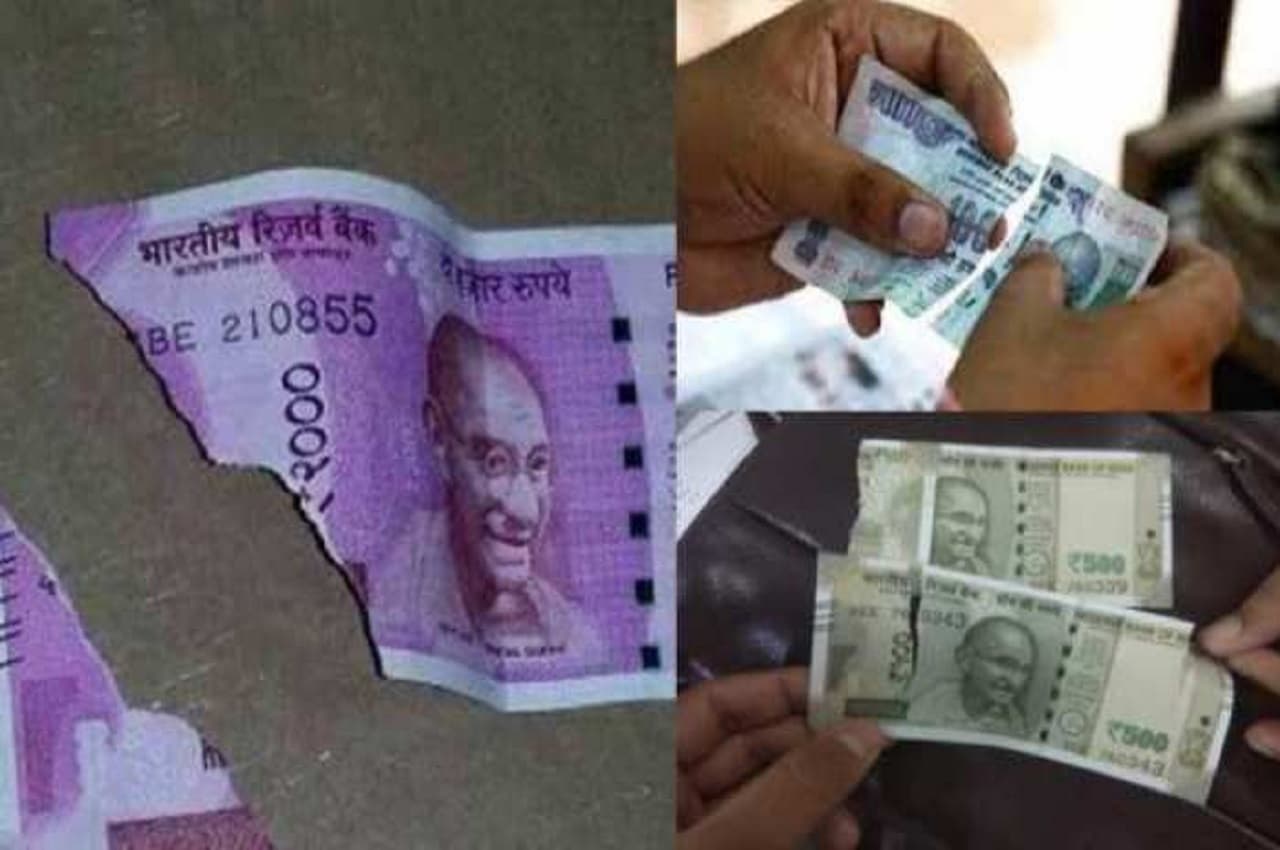 क्या आप कटे-फटे नोटों को बदलना चाहते हैं? यहां जानिए- आसान और सही तरीका
