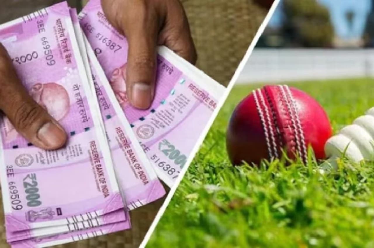 Gujarat: 538 डेबिट कार्ड, 536 चेक बुक और 193 सिम कार्ड...अब तक के सबसे बड़े सट्टाकांड का पर्दाफाश