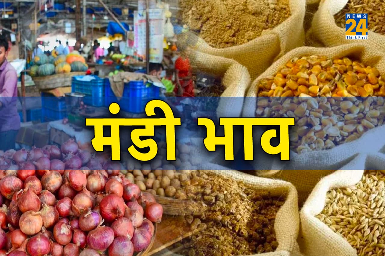 Aaj Ka Mandi Bhav: सरसों, नरमा समेत जौ के दामों में हुआ बदलाव, जानिए- क्या सस्ता और क्या महंगा