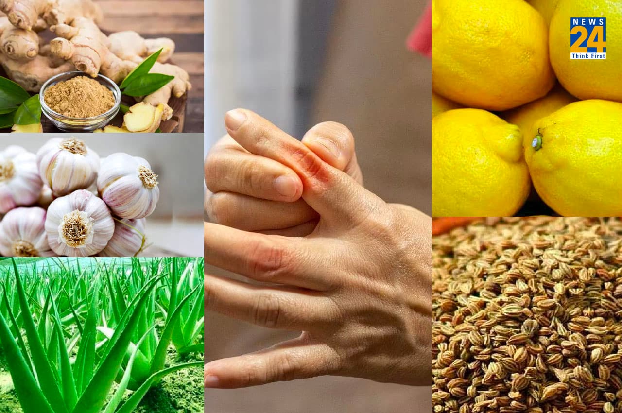 Uric Acid Home Remedies: अदरक, लहसुन, एलोवेरा, नींबू, अजवाइन...ये पांच चीजें जड़ से खत्म कर देती हैं यूरिक एसिड की प्रॉब्लम, कैसे करें इस्तेमाल?