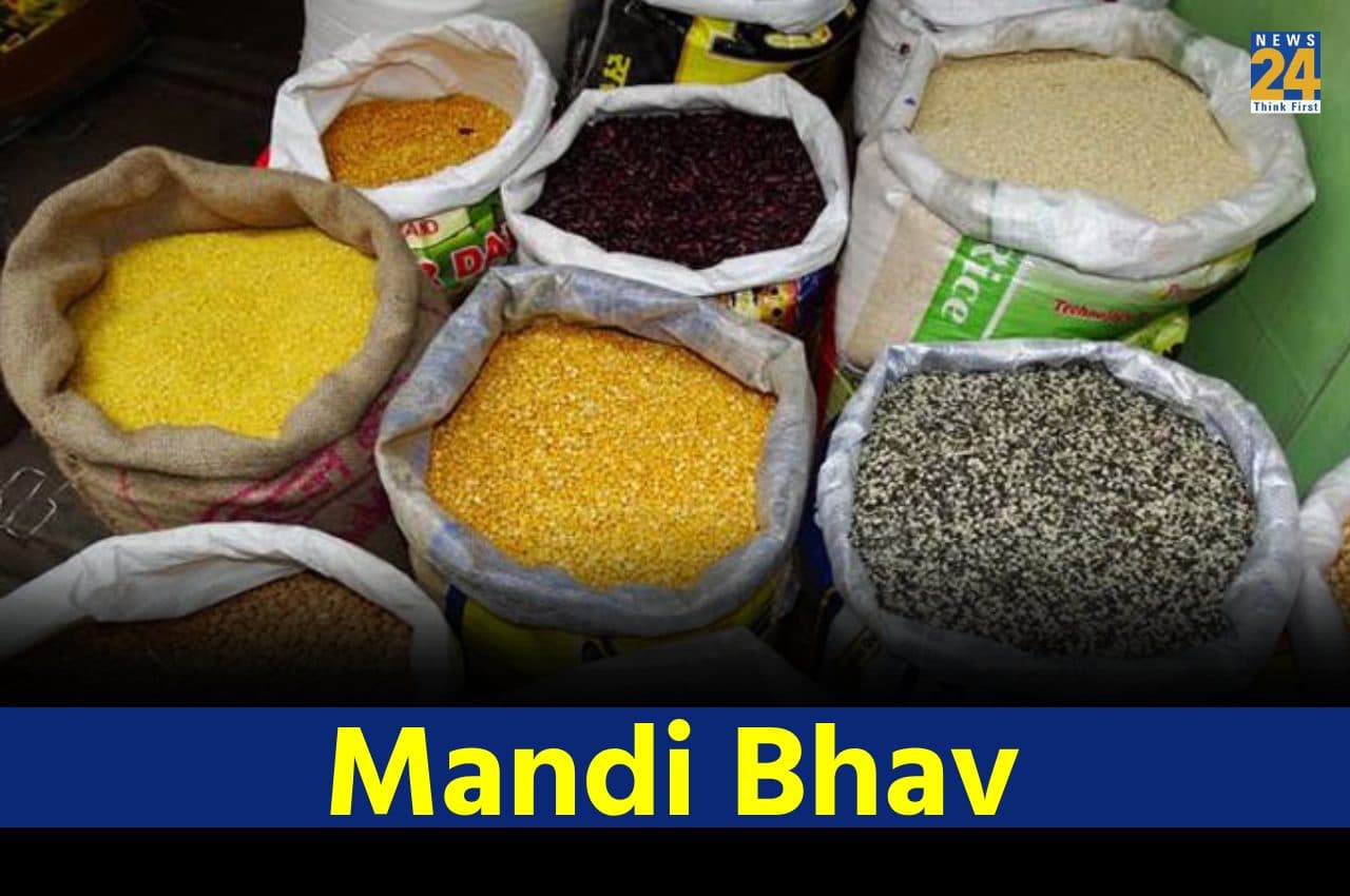 Aaj Ka Mandi Bhav: सरसों, मूंग और चना के नए रेट आए सामने, देखें- क्या सस्ता और क्या हुआ महंगा
