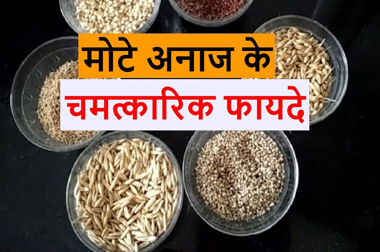 Super Food: डॉक्टर मोटे अनाज के सेवन की सलाह क्यों देते हैं, क्या हैं इसके फायदे? जानें