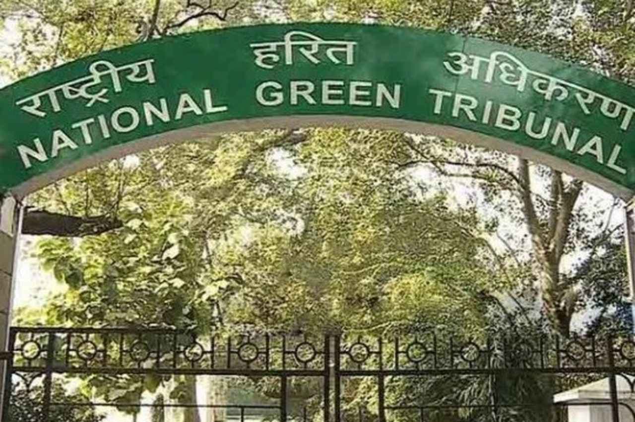 NGT ने बर्ड सेंचुरी की जमीन पर हो रहे निर्माण कार्यों पर लगाई रोक, डीएम को दिया ये आदेश