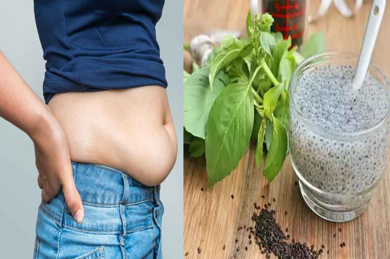Weight Loss Drink: गर्मियों में पीना शुरू करें ये 3 ड्रिंक, घर बैठे-बैठे गायब होगी पेट की चर्बी