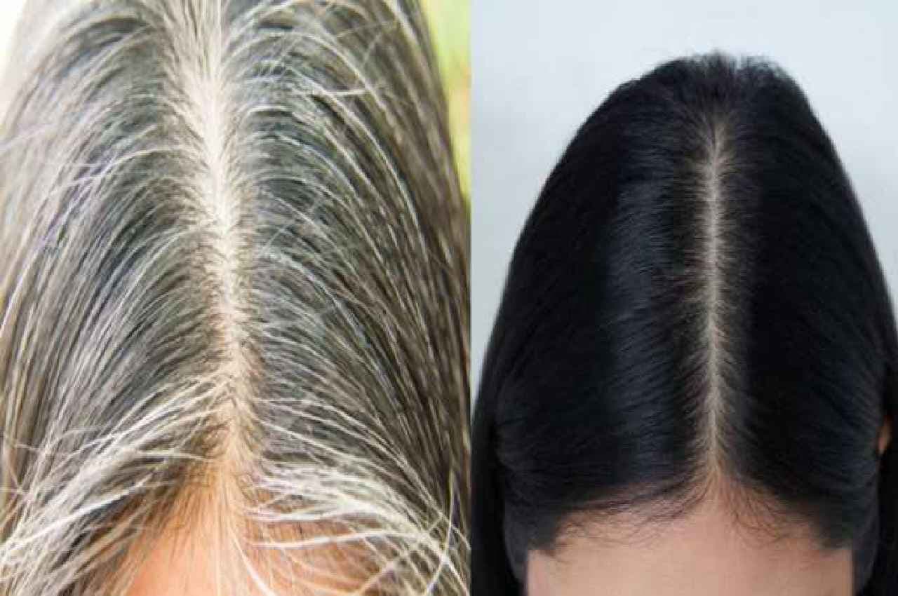 Hair Care TIPS: सफेद बालों की समस्या से छुटकारा दिलाएगा ये नुस्खा...जड़ से काले होंगे आपके हेयर