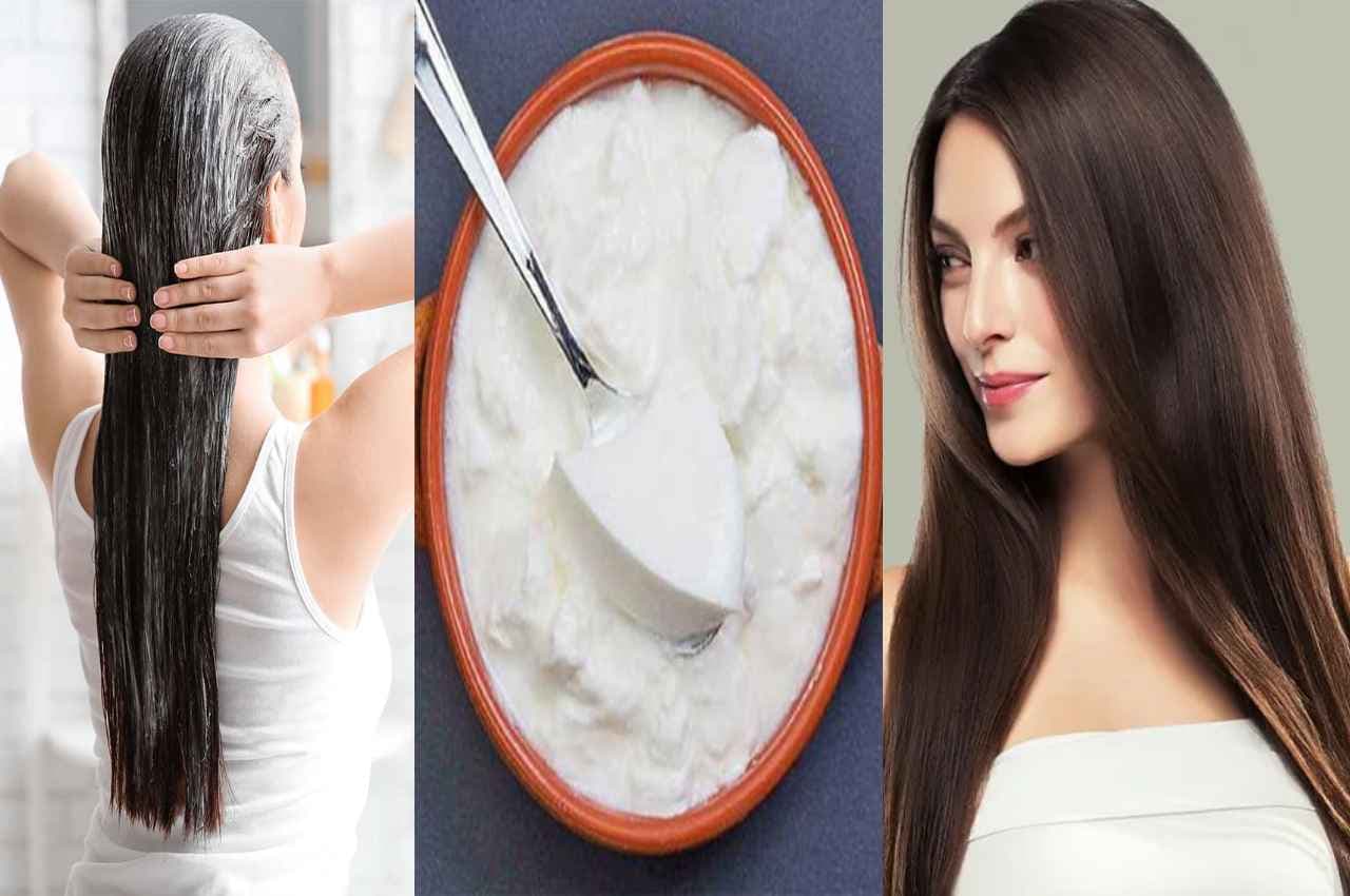 Hair care TIPS: दही के साथ स्कैल्प में लगाएं ये चीज....बाल बनेंगे मजबूत...दूर भाग जाएंगी ये 5 समस्याएं