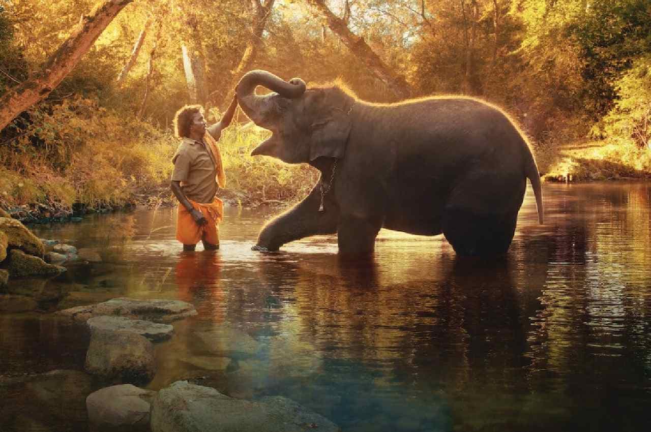 Oscars 2023: ऑस्कर में भारत ने रचा इतिहास, 'द एलिफेंट व्हिस्परर्स' ने बेस्ट शॉर्ट डॉक्यूमेंट्री का अवॉर्ड जीता