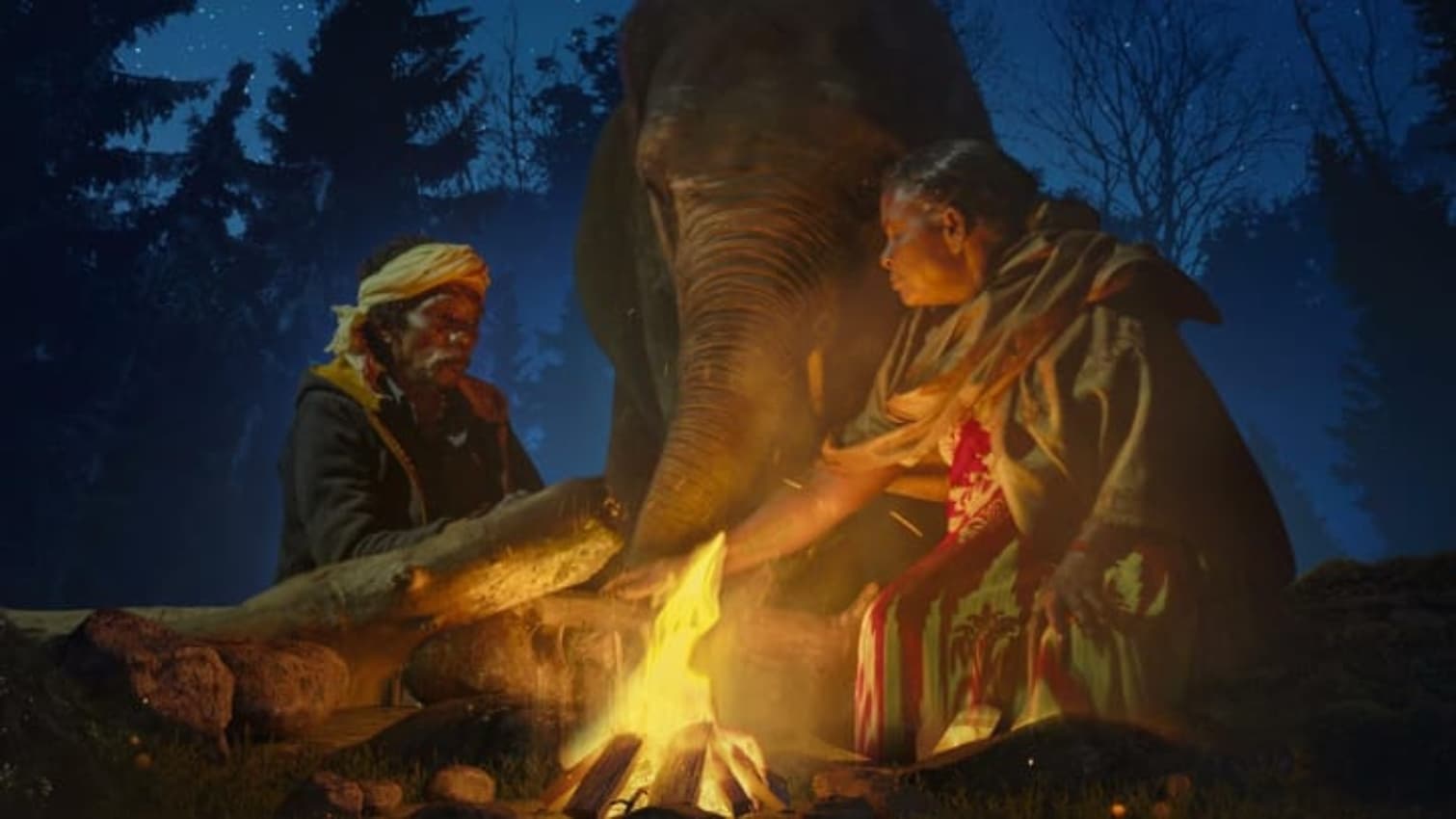 Oscar Winner 2023: तमिलनाडु के सीएम ने The Elephant Whisperers के बोमन और बेली को किया सम्मानित
