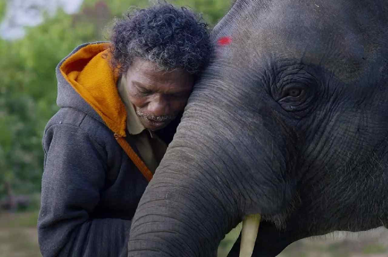 The Elephant Whisperers के ऑस्कर जीतने के बाद स्टार बना 'रघु', देश-विदेश से देखने आ रहे लोग