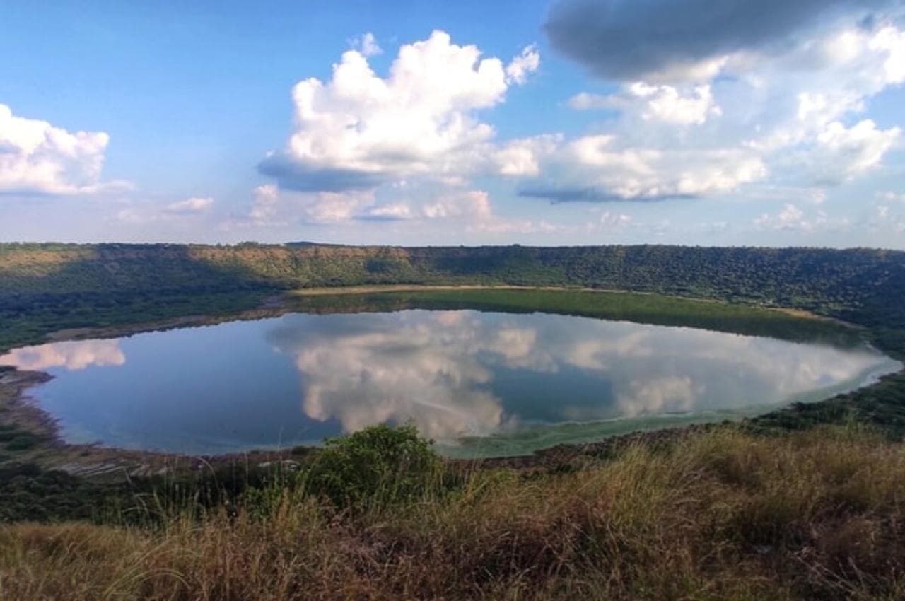 UP News: ग्रेटर नोएडा में जेपी ग्रींस सोसायटी की झील में फैला 'तेल', सैकड़ों मछलियां-जीव मरे, 5 हंस फंसे