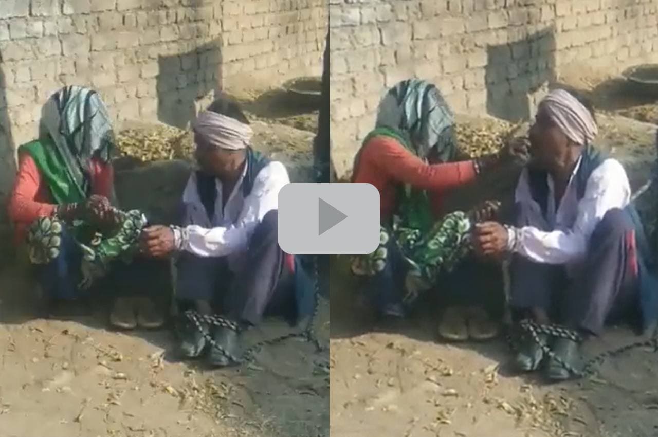 Viral video: प्रेमिका को लेकर भागा बेटा, लड़कीवालों ने पिता को जंजीरों से बांधकर दो दिन तक पीटा, छूटा तो लगा ली फांसी