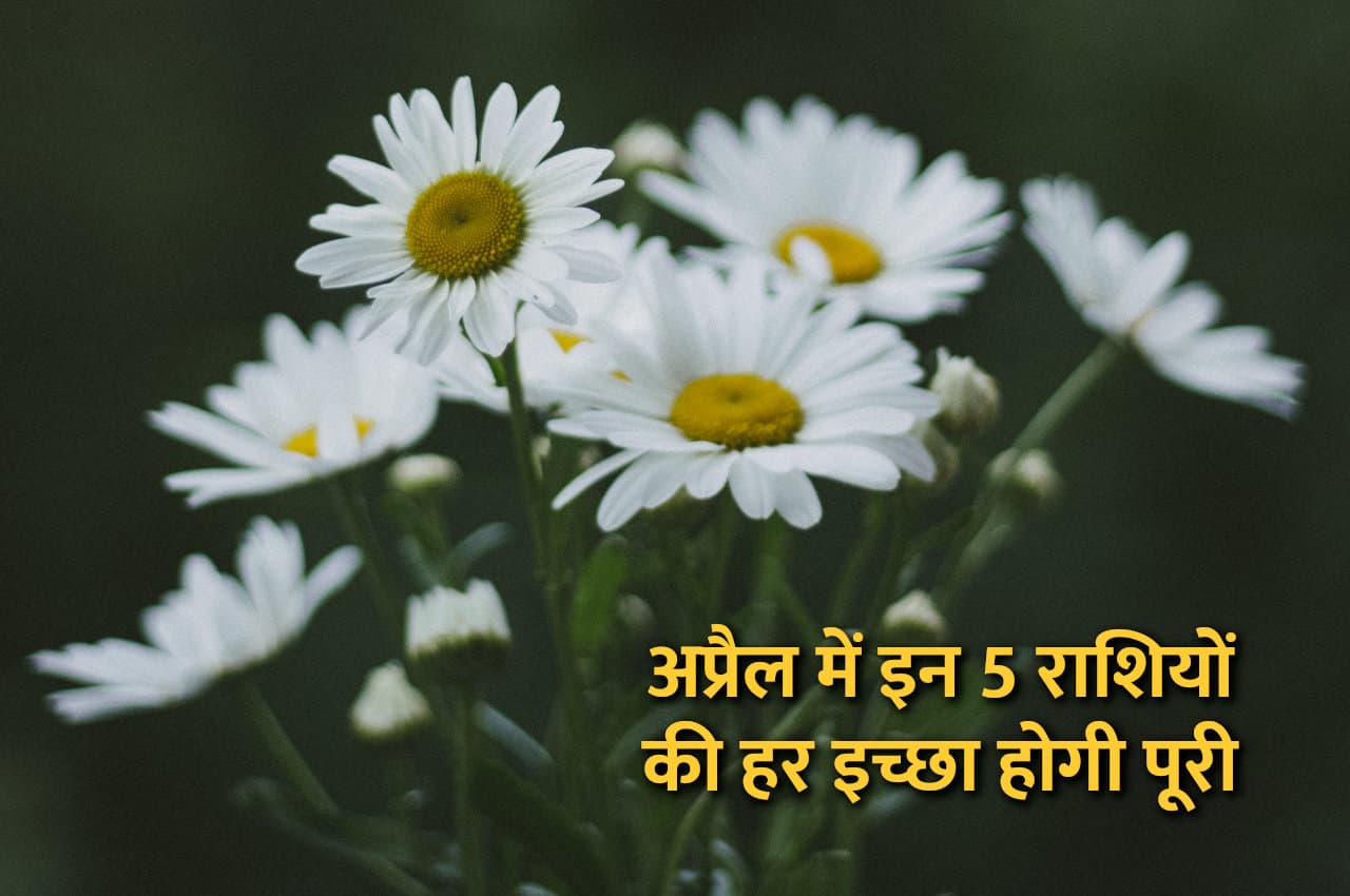 April Rashifal: अप्रैल में होगा ग्रहों का बड़ा उलटफेर, इन 5 राशियों पर बरसेगी मेहर