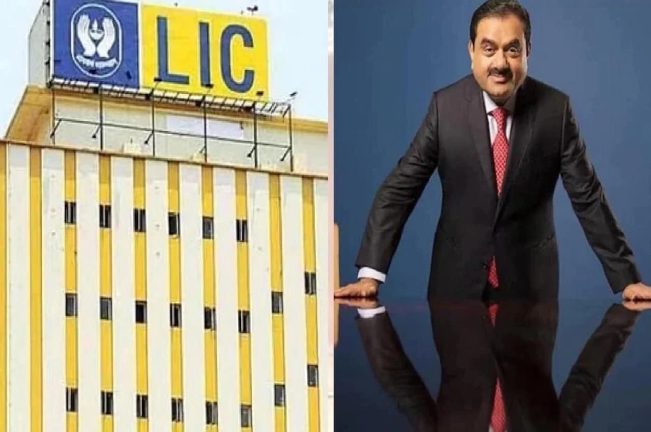Back in Profit! अडानी के शेयरों में LIC निवेश की मार्केट वैल्यू हुई इतनी, लगातार हो रहा नॉन-स्टॉप फायदा