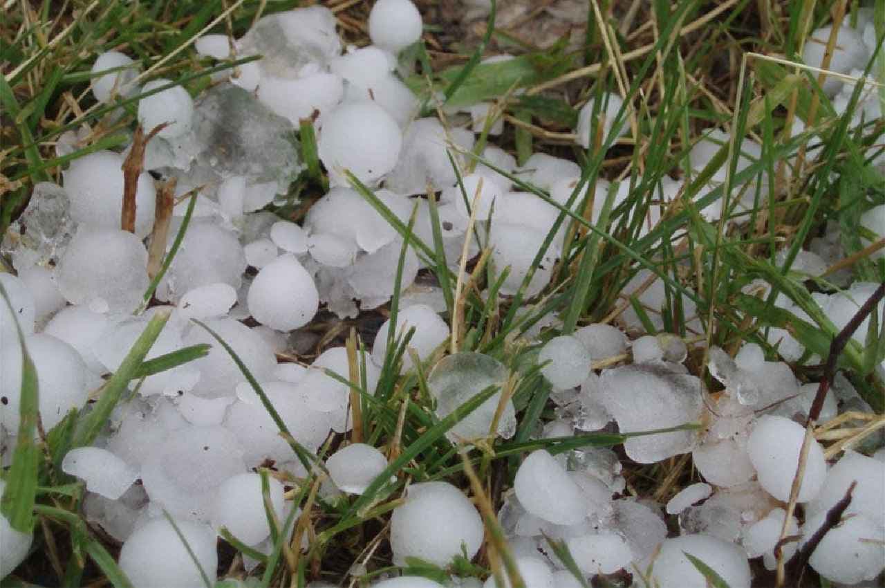 MP Weather: मध्य प्रदेश में फिर बदला मौसम, भोपाल सहित कई जिलों में तेज बारिश के साथ ओलवृष्टि